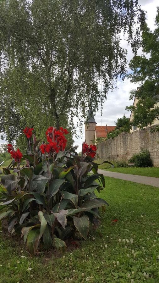 Willa Direkt Am Main Karlstadt Zewnętrze zdjęcie
